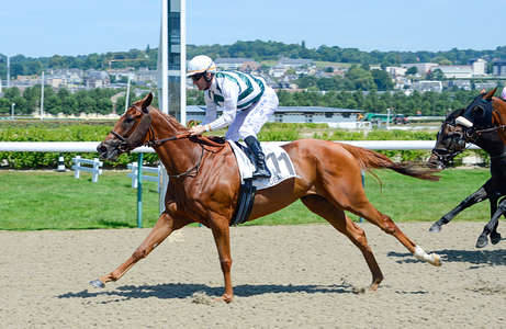 Actualités Hippiques